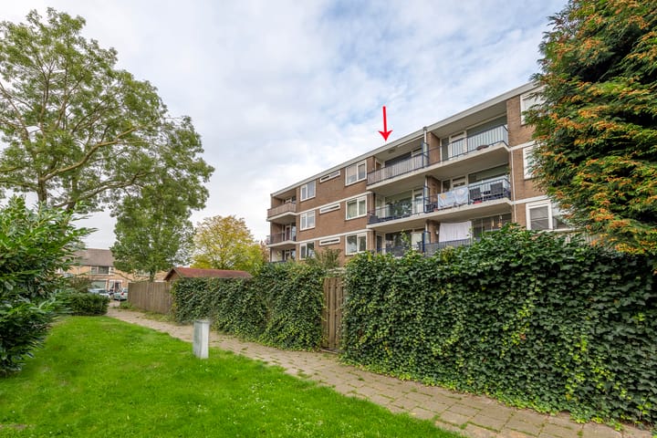 Foto 4 van Schuitenvoerderstraat 39