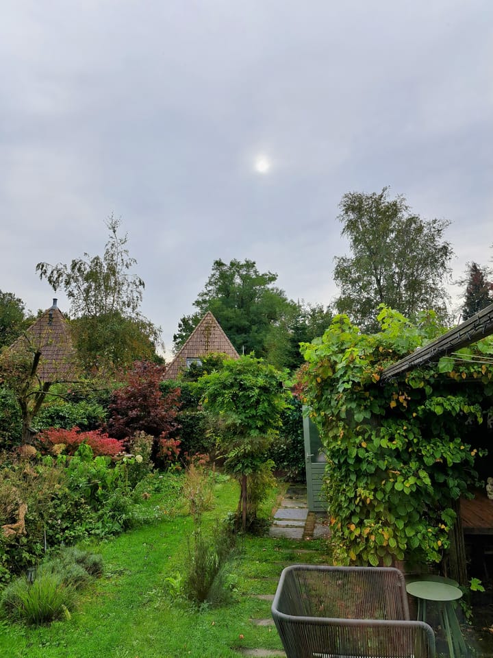 Foto 40 van Nijhoffplein 11