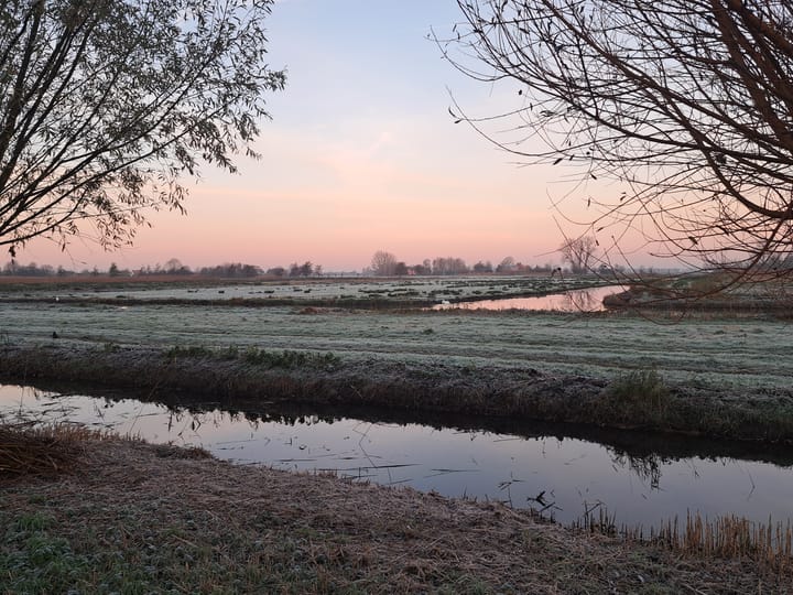 Foto 47 van Nijhoffplein 11