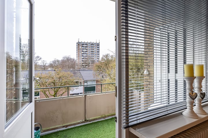 Foto 28 van Strausslaan 40