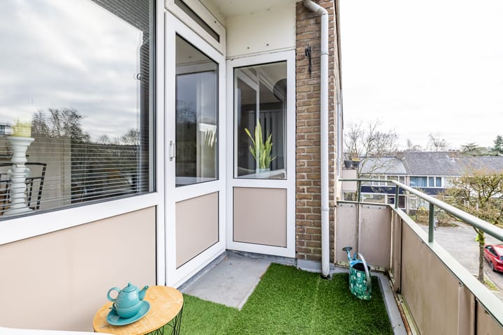 Foto 31 van Strausslaan 40