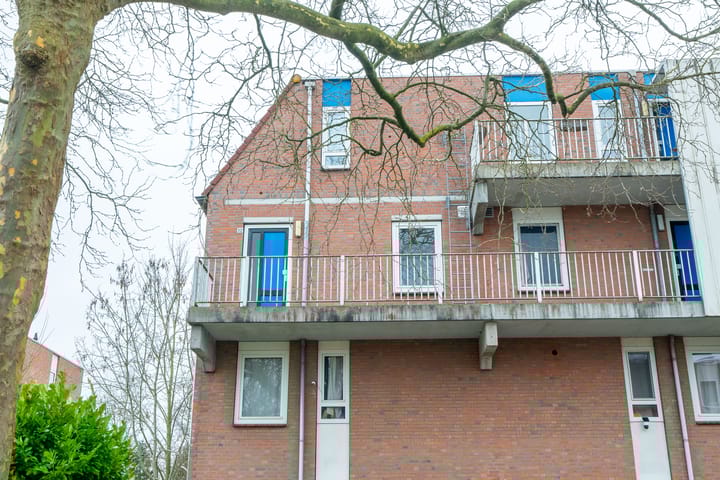 Foto 3 van Jaltadaheerd 32