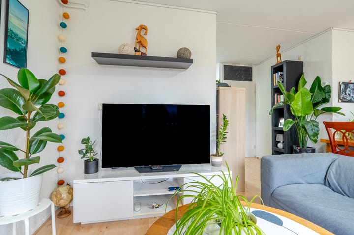 Foto 12 van Jaltadaheerd 32