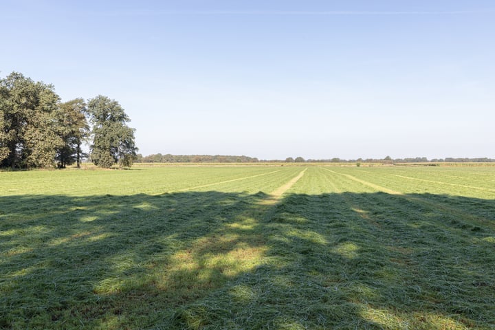 Bekijk foto 5 van Hoogeveenseweg