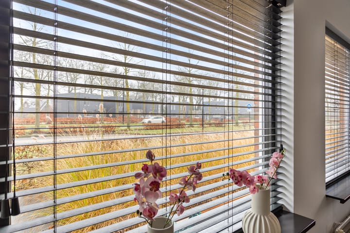 Foto 5 van Leonard Springerlaan 183