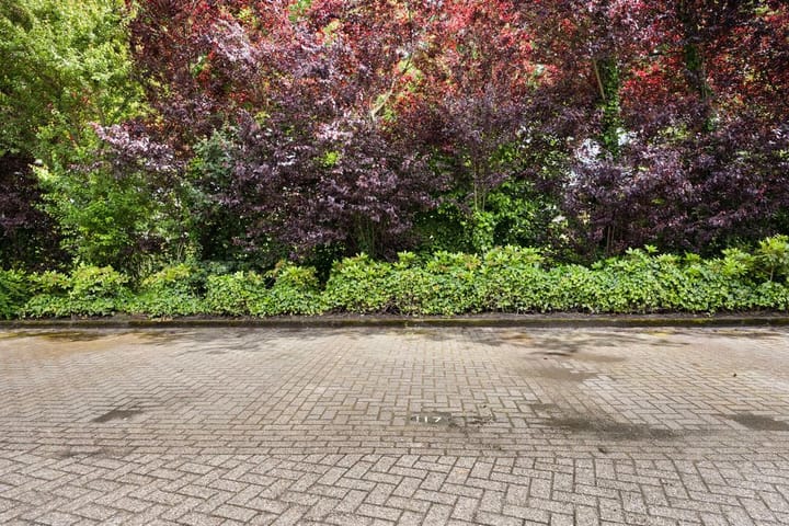 Foto 16 van Saturnusstraat 89