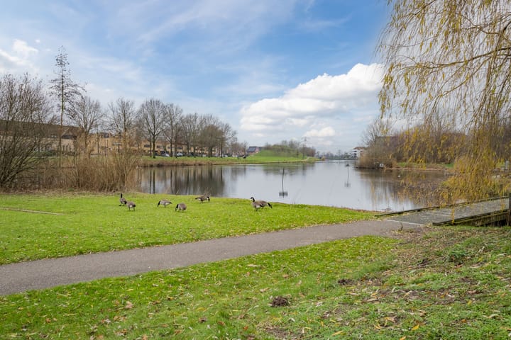 Foto 36 van Regenboog 35