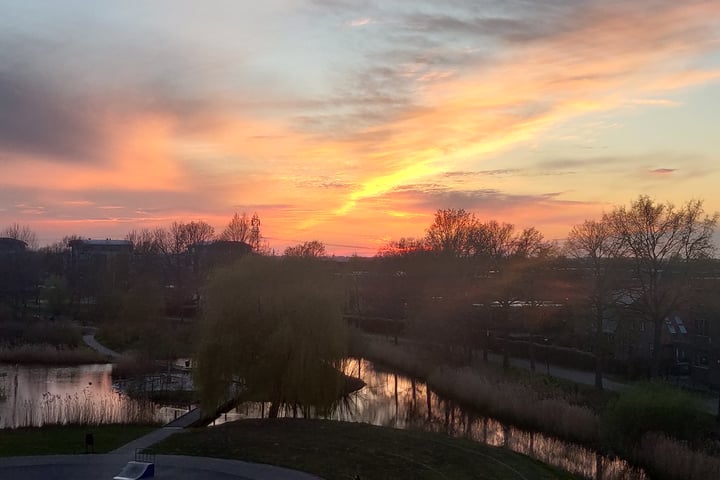 Bekijk foto 39 van Regenboog 35