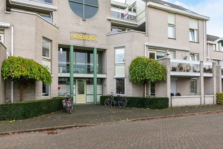 Bekijk foto 9 van Haenenburgh 28