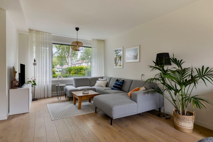 Foto 2 van Hamontstraat 4