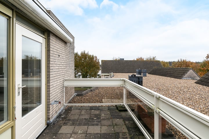 Bekijk foto 30 van Haenenburgh 28