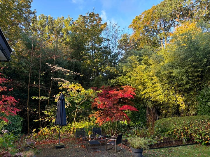 Foto 2 van Potgieterweg 1-B