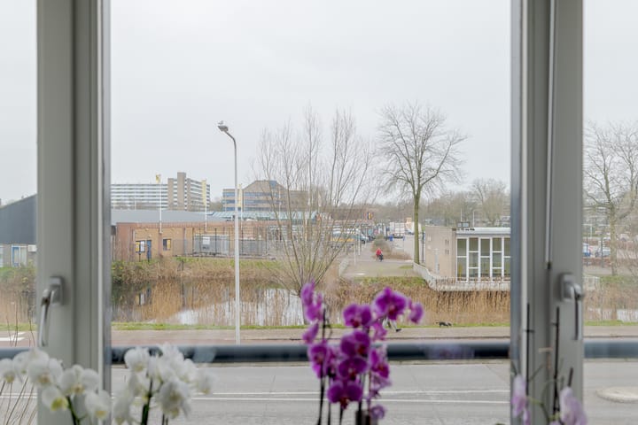 Foto 23 van Zijpe 12