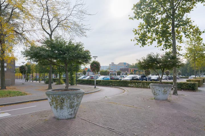 Foto 47 van Zijpe 12