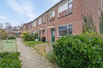 Zwanebloemstraat thumbnail