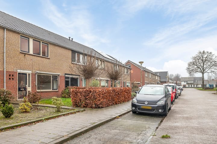 Foto 6 van Daalakkers 20