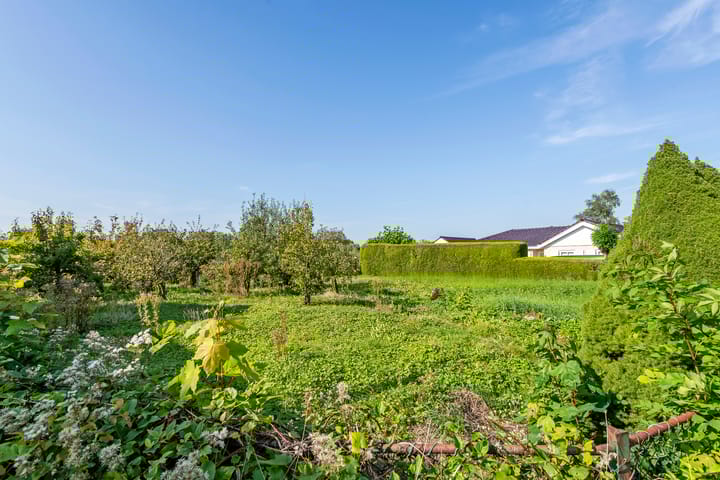 Photo 5 of Nieuwe weg 17