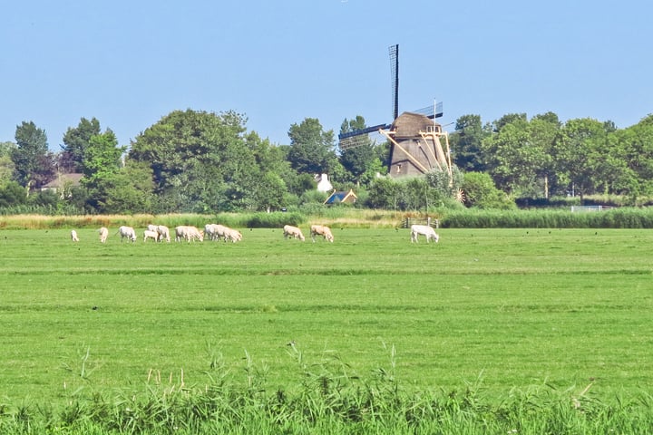 View photo 54 of Rondehoep Oost 13