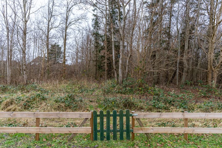 Foto 4 van Robbenoort 95