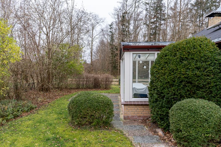 Foto 41 van Robbenoort 95