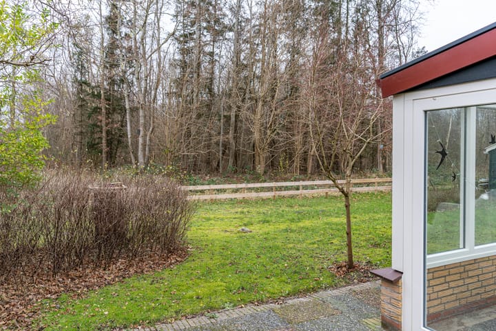 Foto 42 van Robbenoort 95