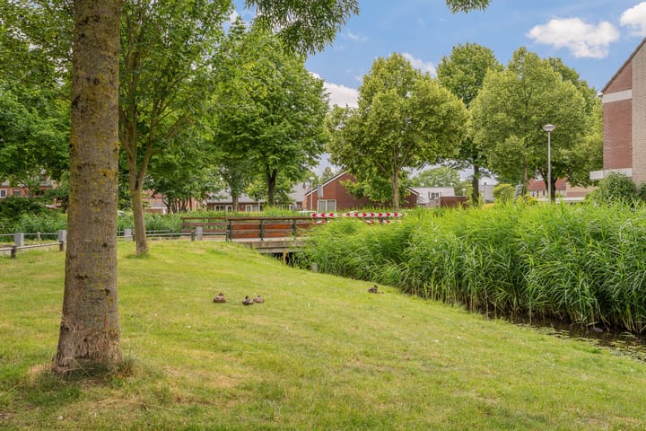 Foto 29 van Stampioenstraat 79