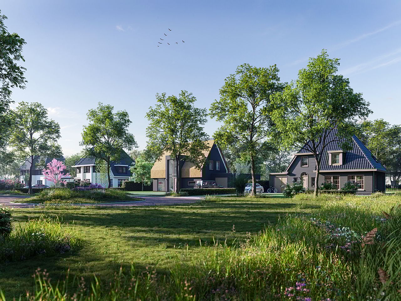 Photo 26 of LOOV - Overgooi