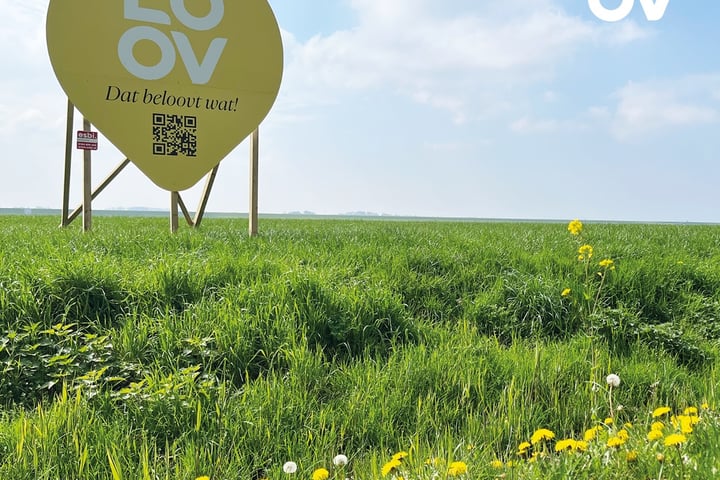 Bekijk foto 32 van LOOV - Overgooi