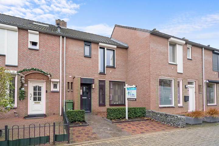 Foto 1 van Papaverweerd 21