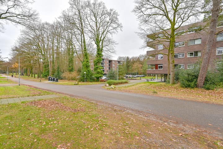 Foto 50 van Valtherlaan 233