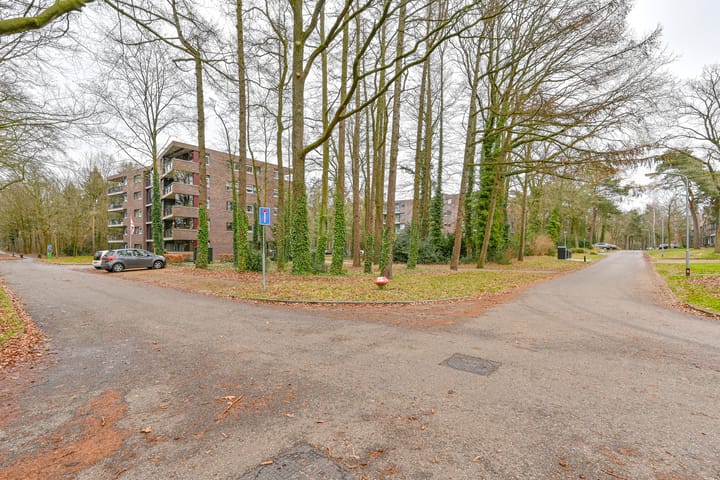 Foto 51 van Valtherlaan 233