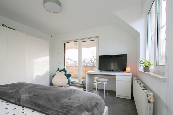 Foto 33 van Standaardmolen 46