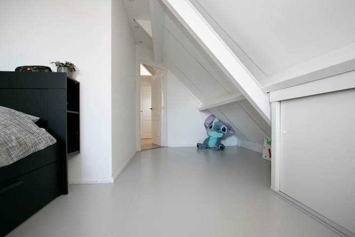 Foto 41 van Standaardmolen 46