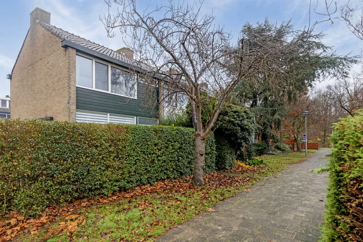 Foto 27 van Jacob van Ruijsdaelpad 1