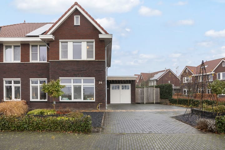 Foto 2 van Heidevlinder 24