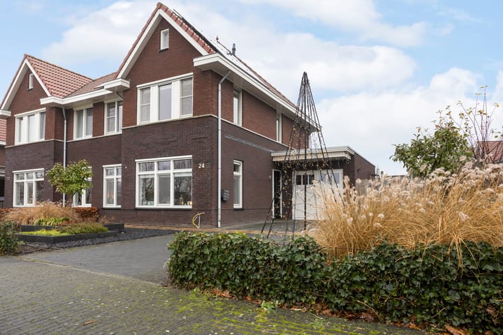 Foto 3 van Heidevlinder 24