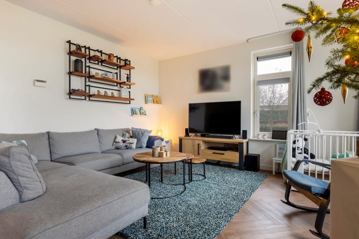 Foto 10 van Heidevlinder 24