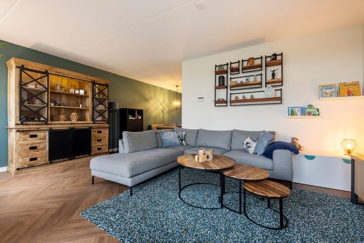 Foto 11 van Heidevlinder 24