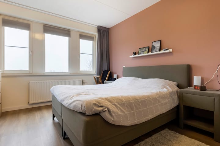 Foto 28 van Heidevlinder 24