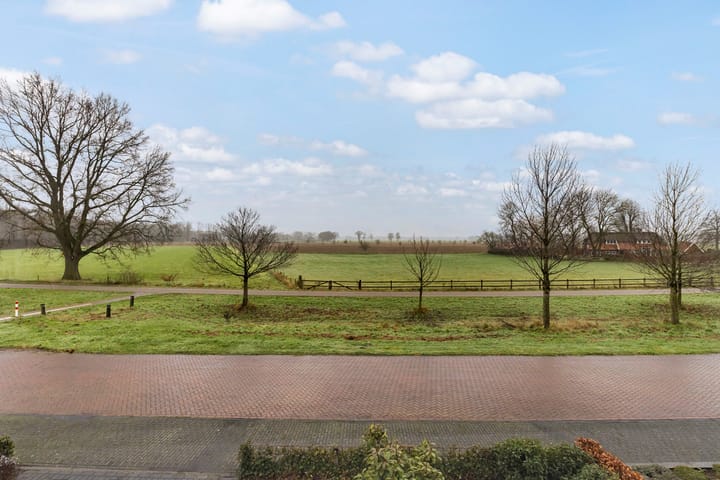 Foto 43 van Heidevlinder 24