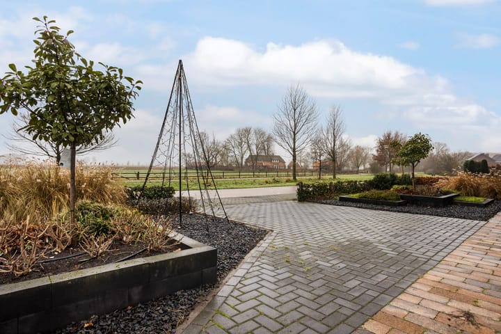 Foto 48 van Heidevlinder 24