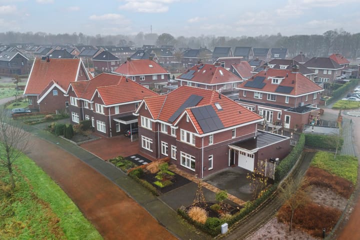 Foto 49 van Heidevlinder 24