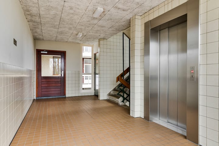 Foto 5 van de Koppele 235