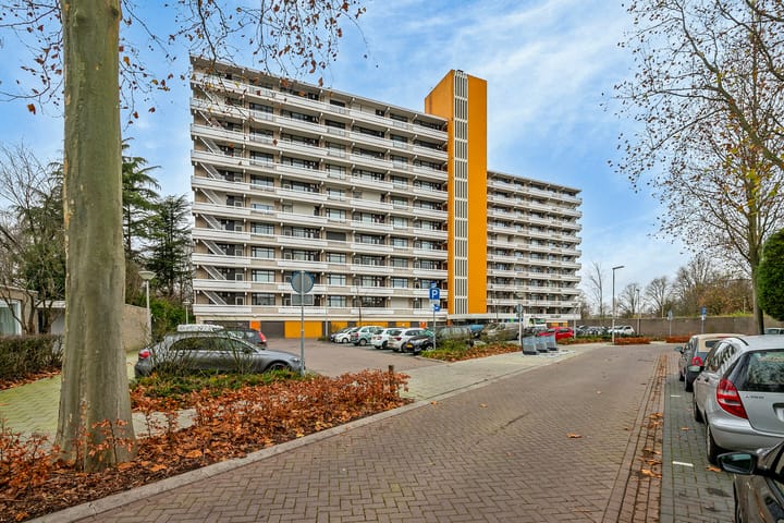 Foto 31 van de Koppele 235