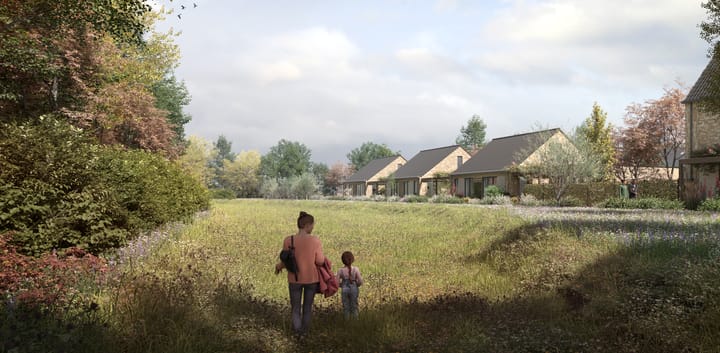 Foto 6 van Buizerd 36