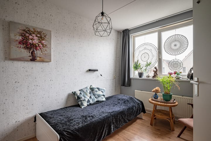 Foto 15 van Kievit 3