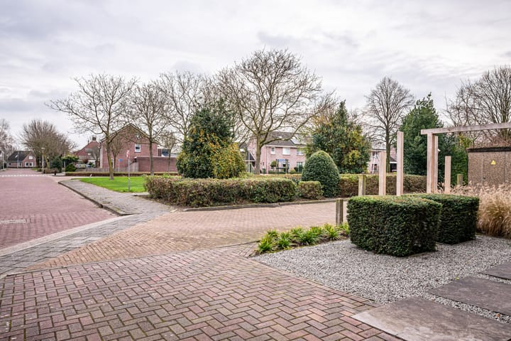 Foto 36 van Kievit 3