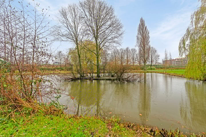 Foto 21 van van der Duyn van Maasdamlaan 136-C