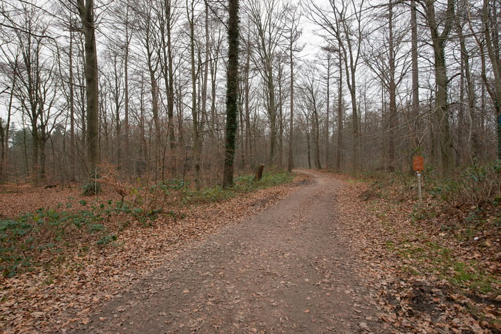 Bekijk foto 33 van Wolfsbergenweg 36