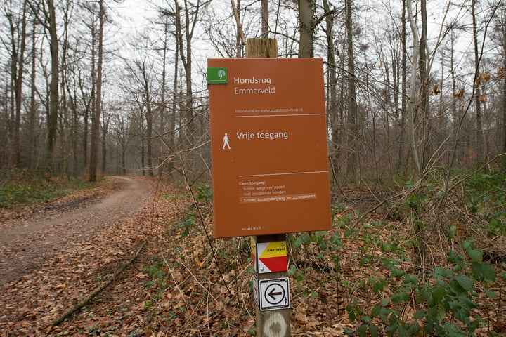 Bekijk foto 34 van Wolfsbergenweg 36